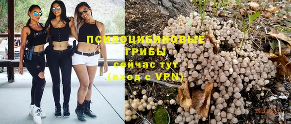 мяу мяу кристалл Горняк